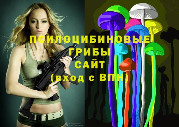 МДПВ Алексин