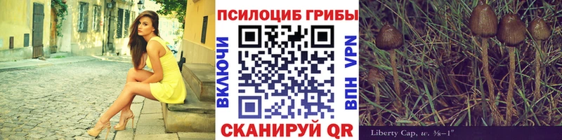 Галлюциногенные грибы Cubensis купить Приморск